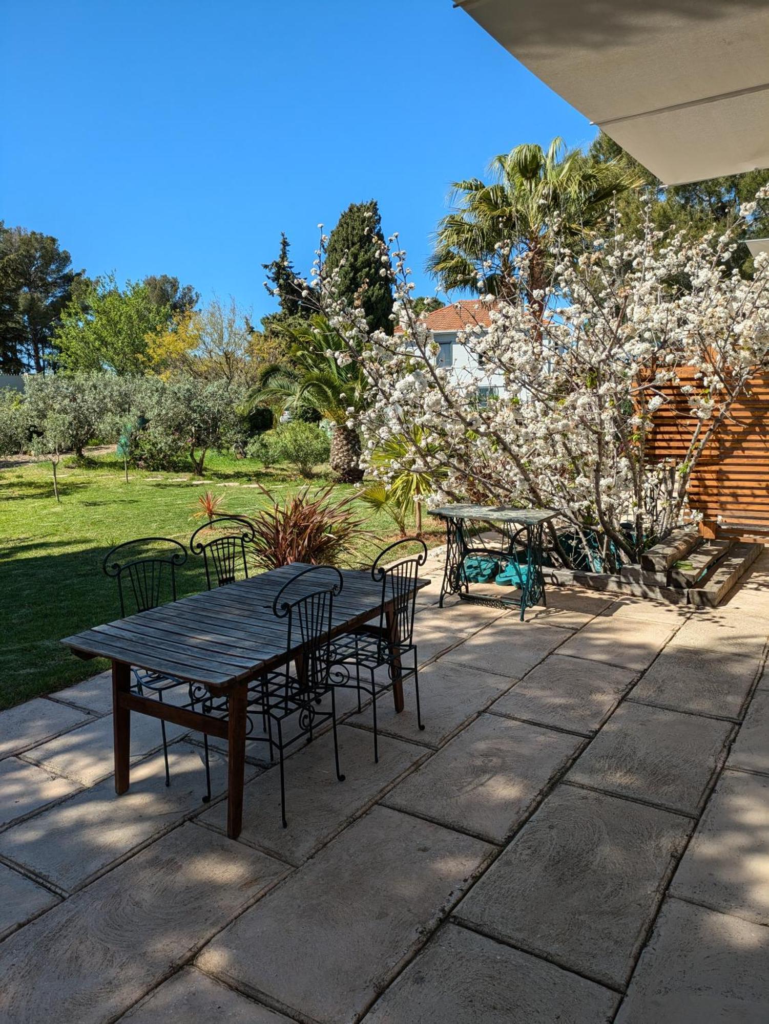 Le Poisson Qui Recule - Maison Et Piscine Dans Parc Arbore Proche Holiday home Sanary-sur-Mer